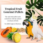 Lafeber gourmet pellets - fruits tropicaux - ara et cacato�s - alimentation �quilibr�e : granul�s de ...