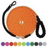 Laisse pour chien 10 m laisse robuste avec crochet pivotant verrouillable et fils réfléchissants laisse ... Laisse pour chien 10 m laisse robuste avec crochet pivotant verrouillable et fils réfléchissants laisse ...