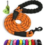 Laisse chien corde, laisse pour chien en nylon avec poignée rembourrée douce et des fils réfléchissants, ... Laisse chien corde, laisse pour chien en nylon avec poignée rembourrée douce et des fils réfléchissants, ...