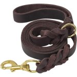 Laisse chien cuir, laisse en cuir robuste pour chien avec crochet en laiton, douce et durable, adapte ...