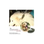 Fei yu - laisses pour colliers et laisses pour chiens durables, laisse rglable en nylon tress