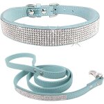 Kinsi - laisses de collier de chien, avec perceuse, anti - perte, dtachable(xs / s / m / l)