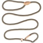 Laisse dressage et collier, réfléchissante, coulissante, lasso en nylon 150cm pour chiens petits et moyens ... Laisse dressage et collier, réfléchissante, coulissante, lasso en nylon 150cm pour chiens petits et moyens ...