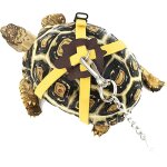 Laisse réglable pour tortue, laisse et harnais pour petits animaux, corde pour la marche en extérieur ... Laisse réglable pour tortue, laisse et harnais pour petits animaux, corde pour la marche en extérieur ...