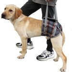 Laisse de soutien pour chien, ceinture r�glable pour soulever les pattes arri�res, r��ducation, aide ...
