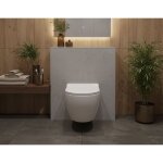 Laneri wc suspendu s�rie bent rim ? cuvette suspendue rimless sans bride blanc brillant ? dimension 52 ...