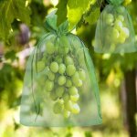 Largeight - lot de 100 sacs de protection en organza pour grappes de raisin 20x15 cm avec cordon, offrant ... Largeight - lot de 100 sacs de protection en organza pour grappes de raisin 20x15 cm avec cordon, offrant ...