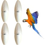 Largeight - 4 pices os de seiche premium pour tortues, 11 - 13cm sepia - king os de seiche, os de seiche ...