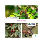 Leaderplant. com - kit de poivriers - 3 variétés Leaderplant. com - kit de poivriers - 3 variétés