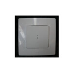 Va - et - vient lumineux 10a (sans lampe) blanc encastr complet avec support et plaque bornes auto srie ...