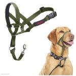 Licol anti - traction pour chien - halti - taille 3 - vert for�t - muserolle rembourr�e en n�opr�ne