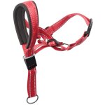 Feiyue - licol pour chien avec sangle de scurit - empche les fortes tractions sur la laisse - licol ...