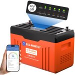 Eco - worthy - batterie lithium 12v 300ah lifepo4 bluetooth avec �cran, batterie lifepo4 avec 200a bms ...