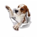 Linghhang - autocollants pour chien 3d - 2 pack - atteindre stickers beagle pour mur, r�frig�rateur, ...