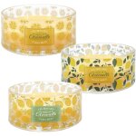 Linnea - lot de 3 bougies parfum�es 4 m�ches limone � la cire de paraffine senteur citronnelle motif ...