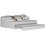 Lit juv�nile triple betrix