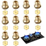 Lot de 10 gicleur gaz butane, 2�0. 5mm, 4�0. 7mm, 2�0. 87mm, 2�1. 02mm gicleur gaz bouteille, gicleur ...
