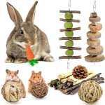 Lot de 10 jouets � m�cher pour hamster - en bois naturel - pour petits animaux - pour soins dentaires ...