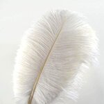 Lot de 10 plumes d?autruche (blanc) creny de 30 � 35 cm pour d�coration d?int�rieur ou mariage