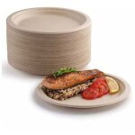 Lot 100 assiettes carton rigides biod�gradables compostables r�sistantes pique - nique barbecue 17 8cm ...