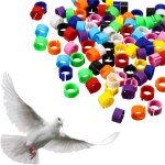Lot de 100 bagues d'identification pour oiseaux de 8mm, adaptes aux pattes des calopsittes et des pigeons, ...