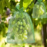 Lot de 100 sacs de protection en organza pour grappes de raisin 20x15 cm avec cordon, offrant une protection ...
