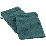 Lot de 2 gants de toilette 15 x 21 cm tendresse orage