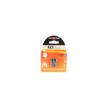 Lot de 2 piles alcalines 12 v a23 / lr23.