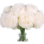 Lot de 2 pivoines artificielles blanches en soie, 10 ttes, cadeau