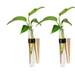Lot de 2 pots de fleurs muraux à suspendre pour propagation de tubes à essai hydroponiques pour décoration ... Lot de 2 pots de fleurs muraux à suspendre pour propagation de tubes à essai hydroponiques pour décoration ...