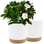 Lot de 2 pots de plantes 25. 4cm, pots pour plantes d'int�rieur avec trous de drainage et base amovible, ...