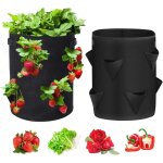 Lot de 2 sacs de culture pour fraises de 37, 5 litres avec 8 poches latrales en tissu non tiss respirant ...