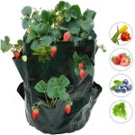 Lot de 2 sacs de culture pour fraises ? sacs de culture pour fraises, jardinires
