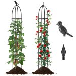 Lot de 2 treillis ob�lisque de jardin hauteur r�glable, support pour plantes grimpantes en m�tal antirouille ...