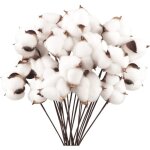 Lot de 20 fleurs de coton naturel s�ch�es, tiges artificielles, branches d�coratives pour balcon, maison, ...