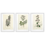 Lot de 3 affiches d�coration murale pour la cuisine affiches de cuisine herbes