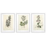 Lot de 3 affiches dcoration murale pour la cuisine affiches de cuisine herbes