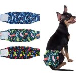 Lot de 3 couches pour chiens male lavable bandeau, super absorbantes pour chiens de petite, ventrale ...