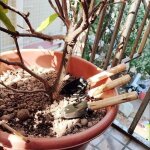 Lot de 3 outils de jardinage mini petite pelle rateau et b�che manche en bois ensemble outils jardinage ...