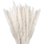 Lot de 30 herbe de la pampa sechees decoration, fleurs séchées naturelles 45cm blanche, pour deco salon, ... Lot de 30 herbe de la pampa sechees decoration, fleurs séchées naturelles 45cm blanche, pour deco salon, ...