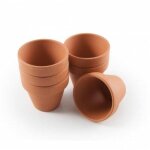 Radis et capucine - lot 30 pots en terre cuite �5, 5cm
