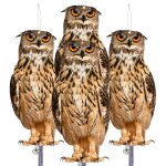 Lot de 4 les faux hiboux �loignent les oiseaux dispositif effrayant pour effraient les pigeons pics �loigner ...