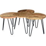 Lot de 4 tables basses rondes 50x40 cm en manguier et m�tal