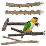 Lot de 5 perchoirs en bois naturel pour oiseaux, perchoirs en bois naturel, accessoires pour oiseaux, ... Lot de 5 perchoirs en bois naturel pour oiseaux, perchoirs en bois naturel, accessoires pour oiseaux, ...
