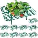 Lot de 5 supports de culture pour fraises et fruits?treillis grimpant pour plantes vertes