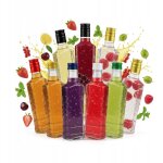 Lot de 50 bouteilles en verre pionier moscow 250 ml de liqueurs, vins et jus de fruits.