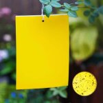 Lot de 50 pi�ges adh�sifs jaunes pour les plantes d'int�rieur - anti - parasites - avec panneaux jaunes ...