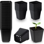 Lot de 50 pots de fleurs carr�s en plastique noir de 5, 5 cm pour plantes succulentes, semis, boutures, ...