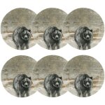 Lot de 6 assiettes creuses en porcelaine 21cm, lachat