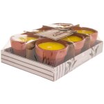 Lot de 6 bougies 39g terry parfum�es � la citronnelle pot en terre cuite - atmosphera cr�ateur d'int�rieur ...